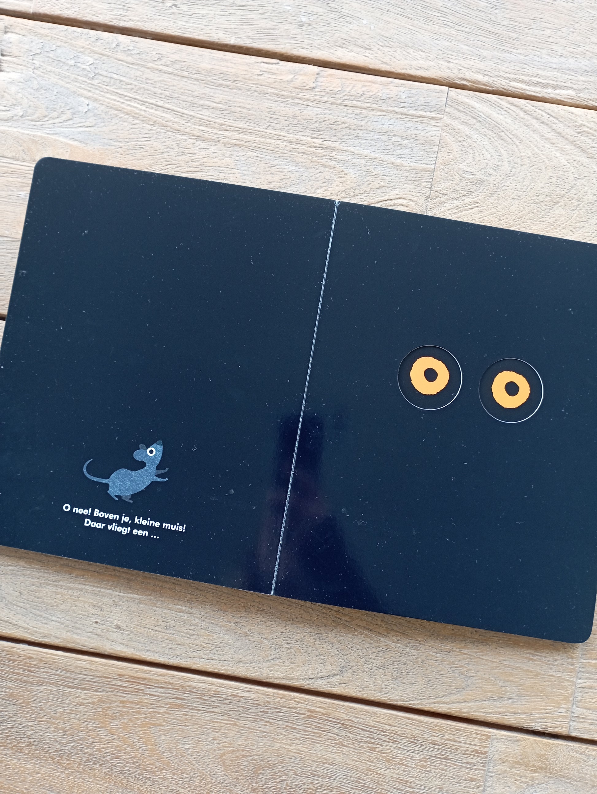 Snel naar huis kleine Muis - Britta Teckentrup - Gottmer