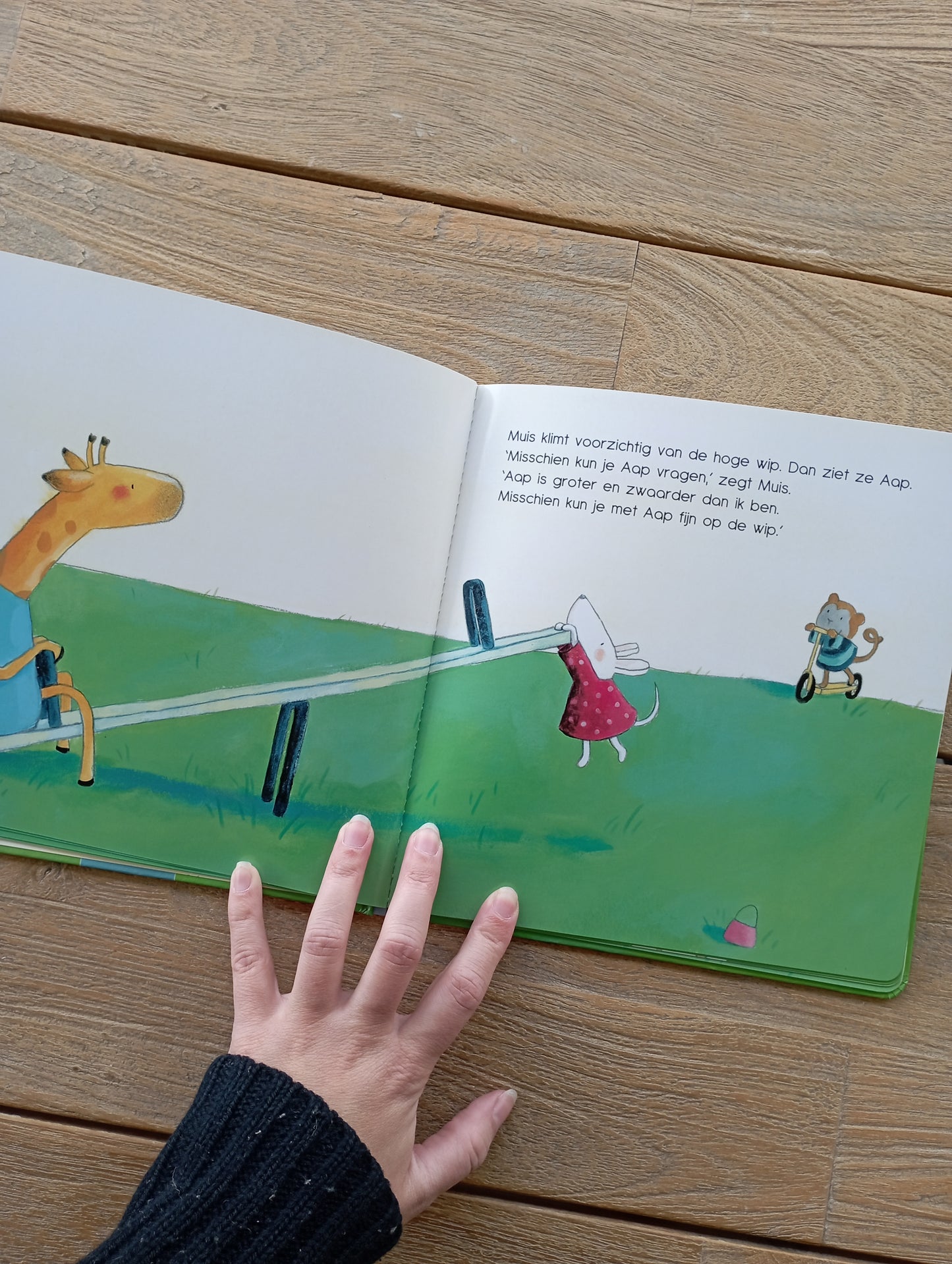 Samen op de wip - Judith Koppens - Clavis