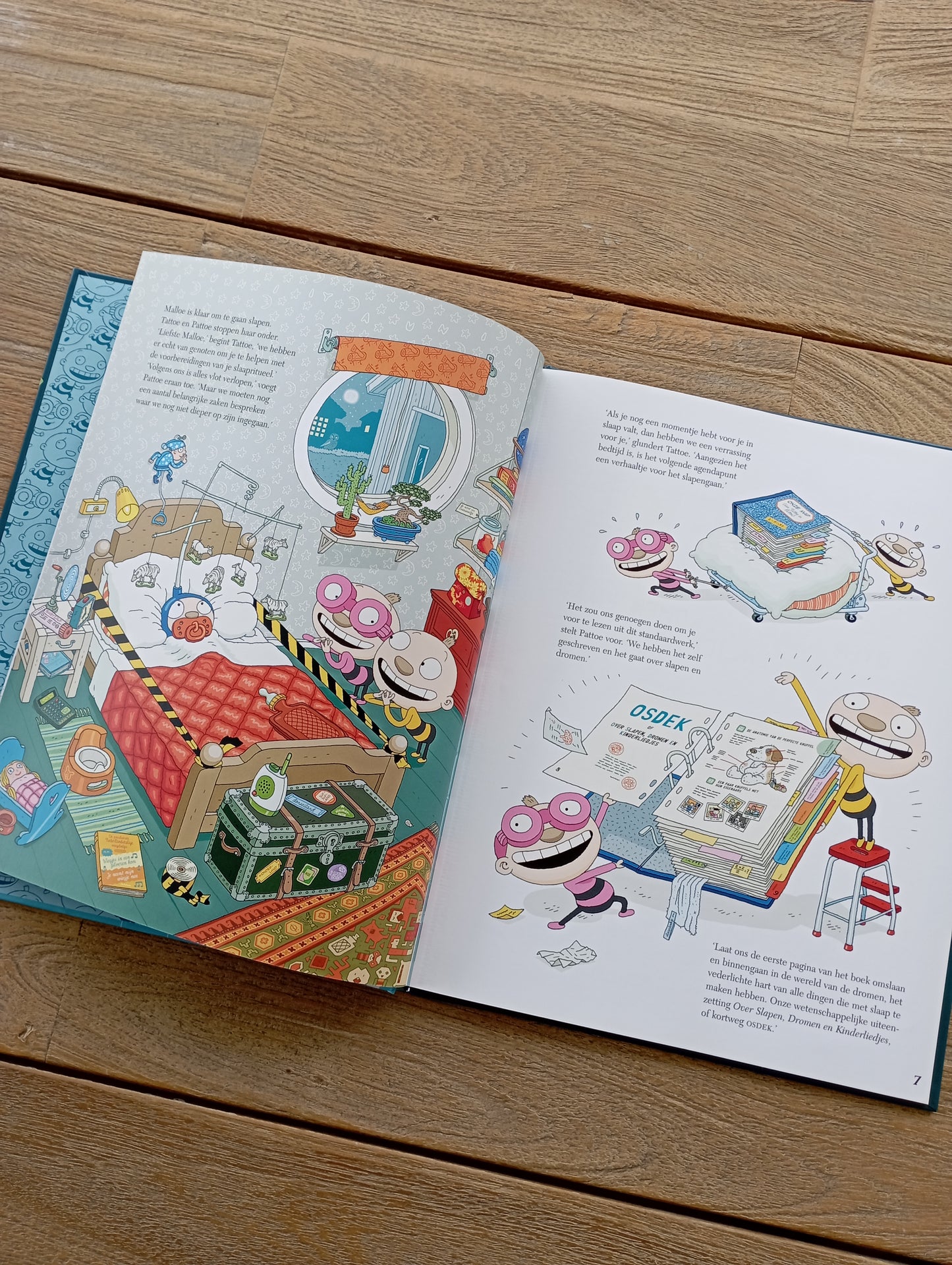 Het buitengewone slaapboek van Tattoe en Pattoe - Aino Havukainen - Clavis