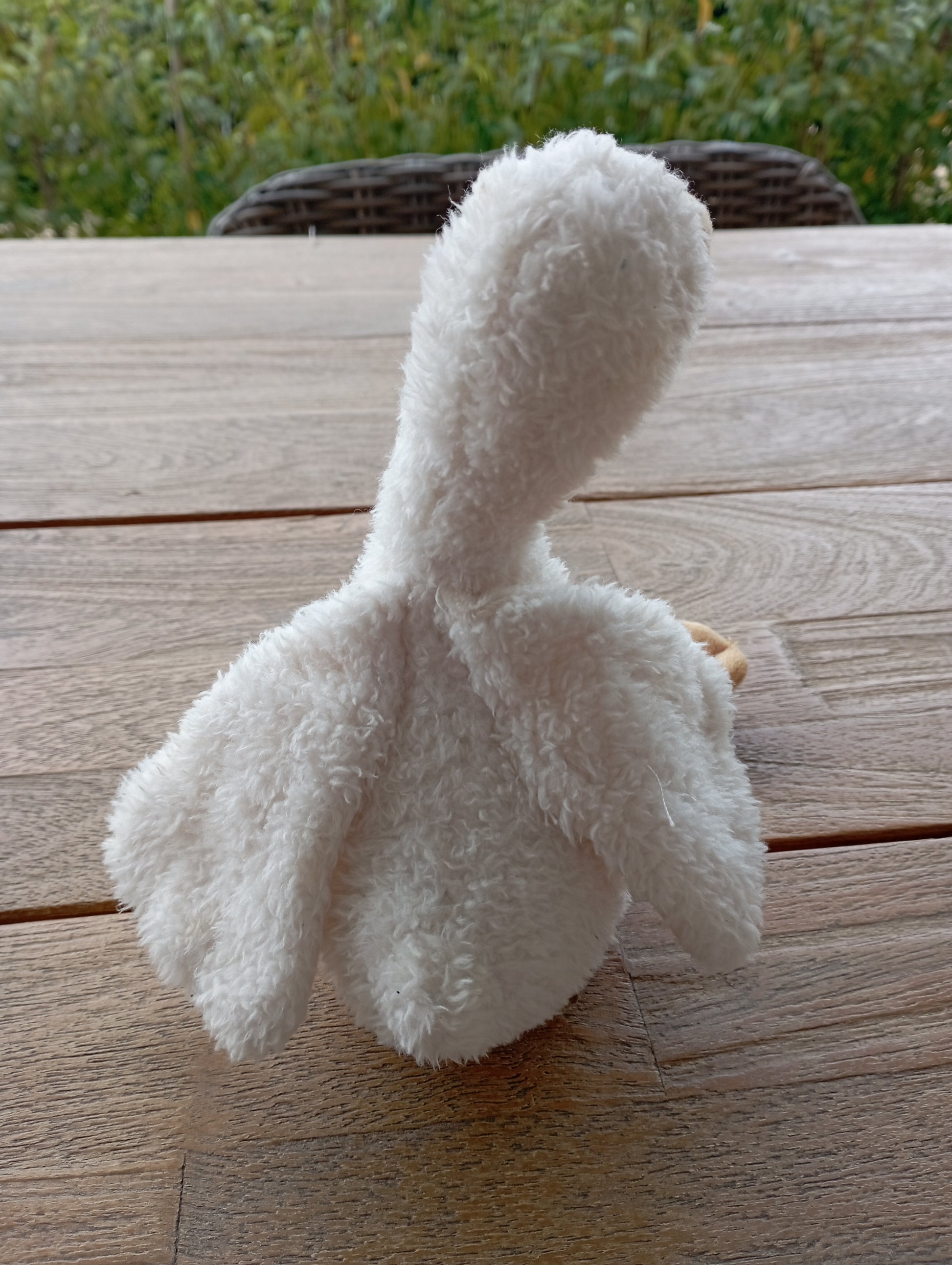 Gans 20cm - Little Dutch