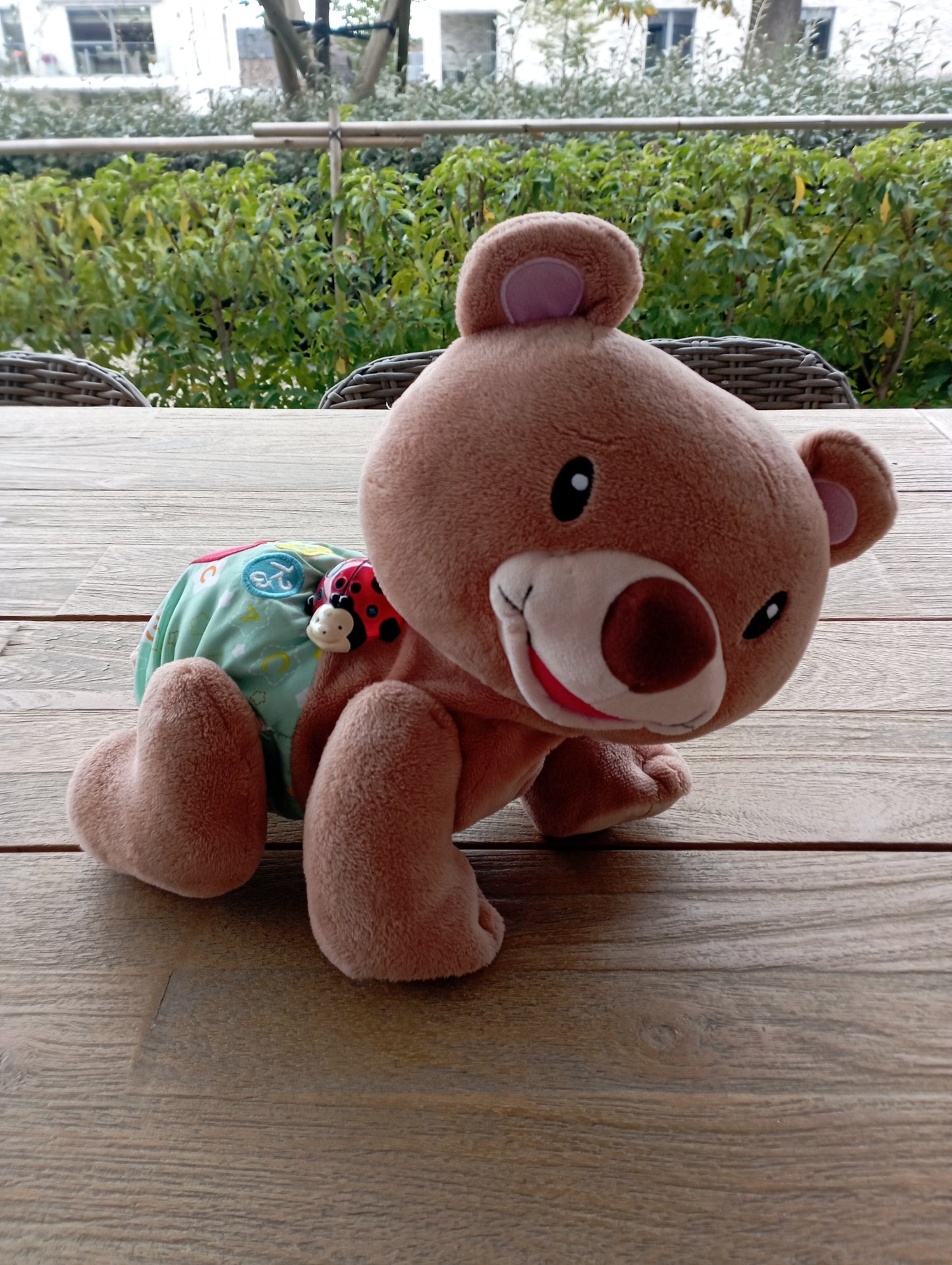 Kruip & Leer Babybeer - Vtech