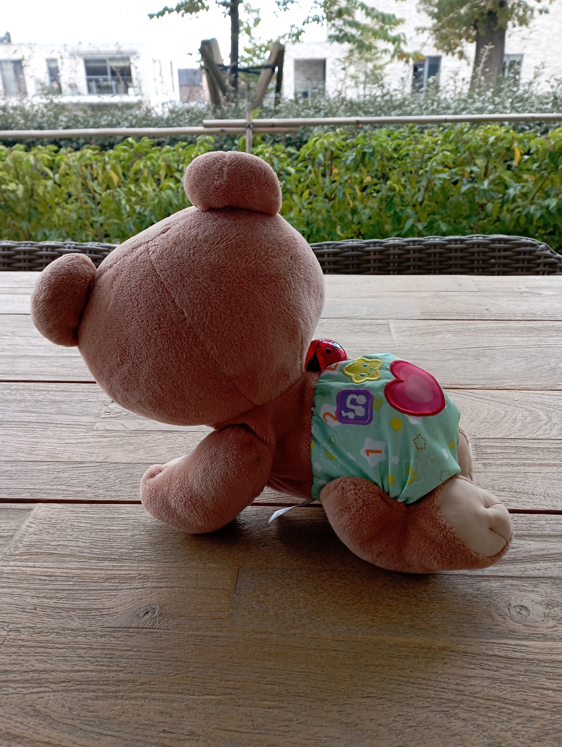 Kruip & Leer Babybeer - Vtech