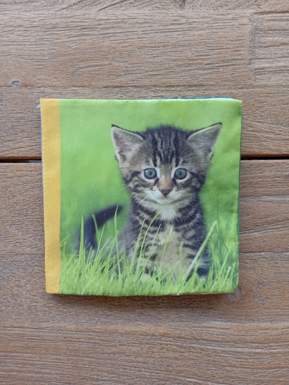 Knisperboekje - Find JOYs