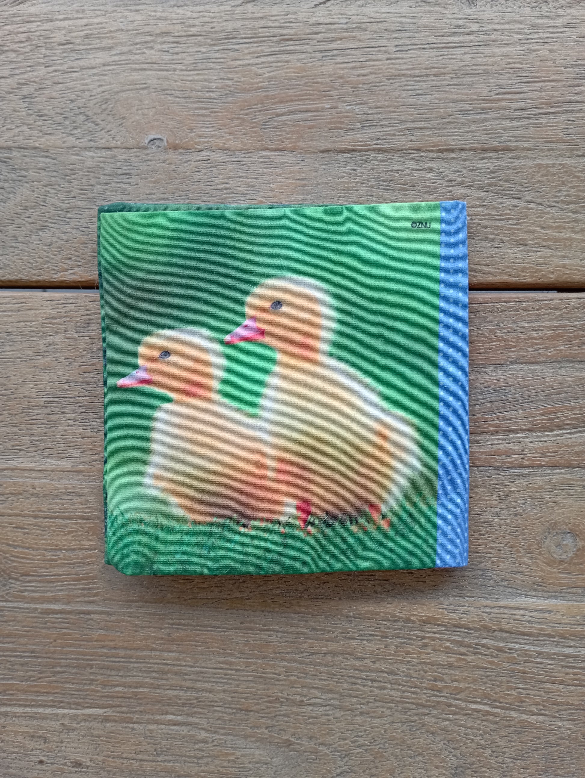 Knisperboekje - Find JOYs