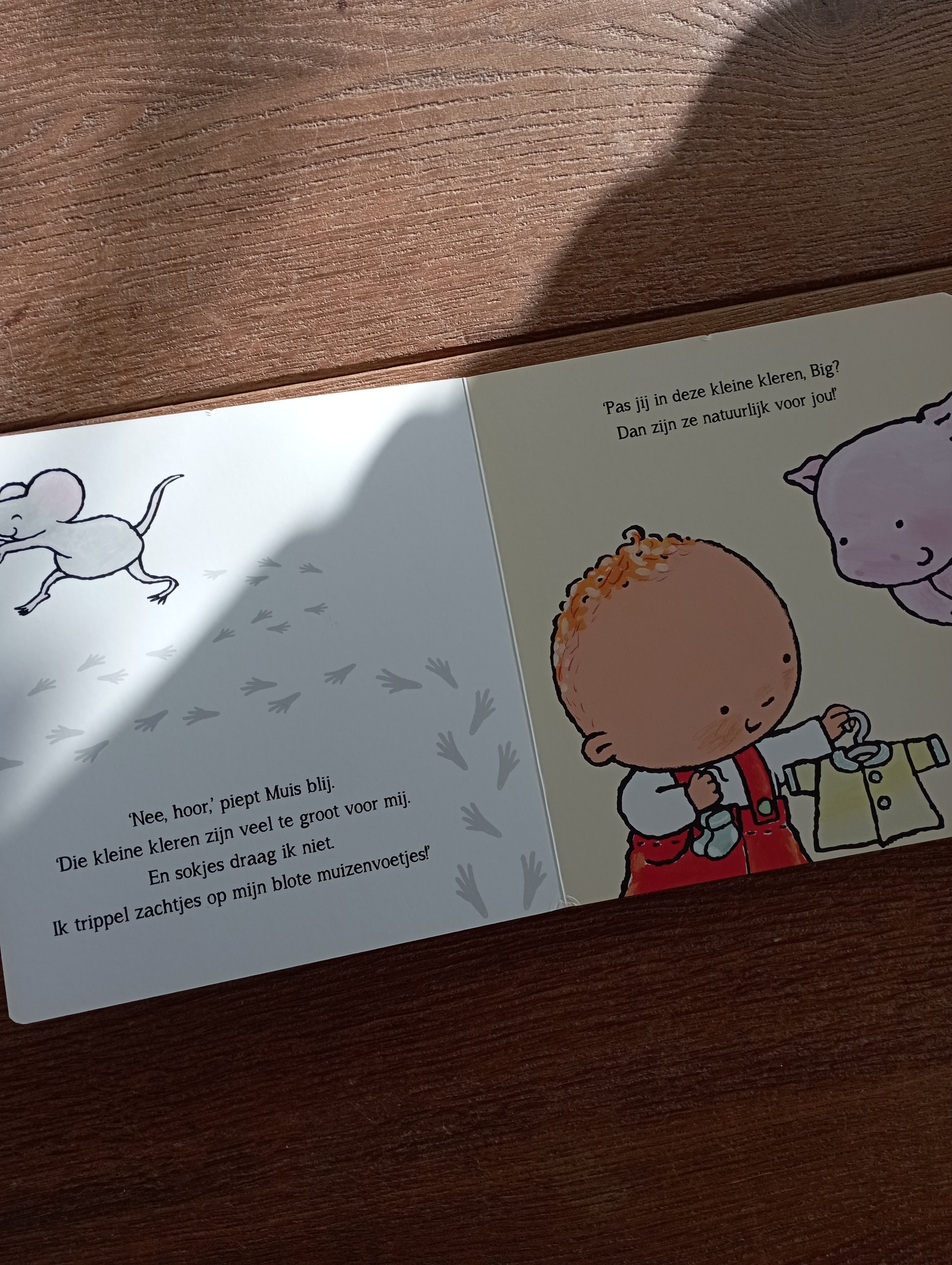 Sem wordt grote broer - Pauline Oud Clavis