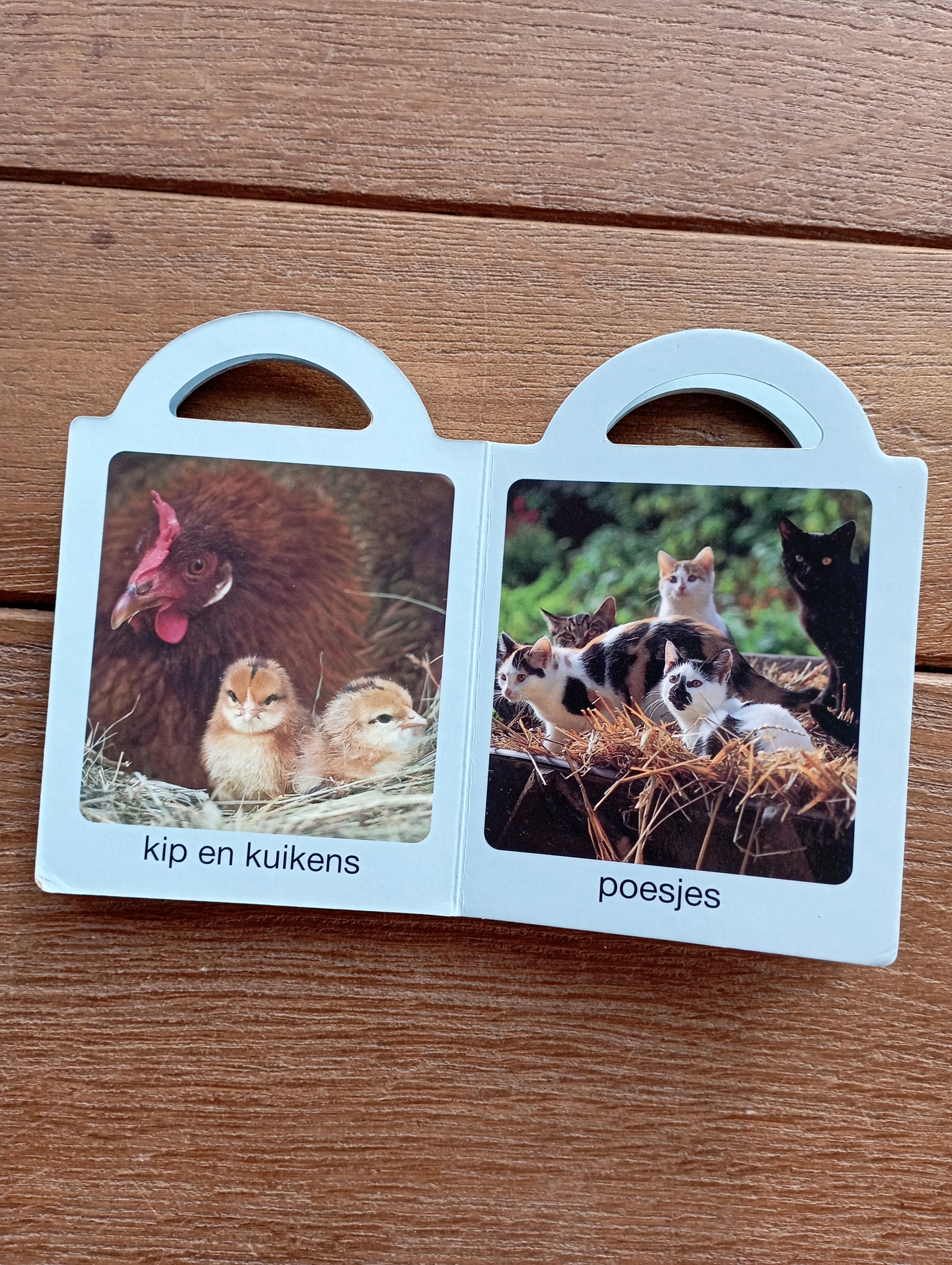 Baby-boerderij-dieren De Ballon