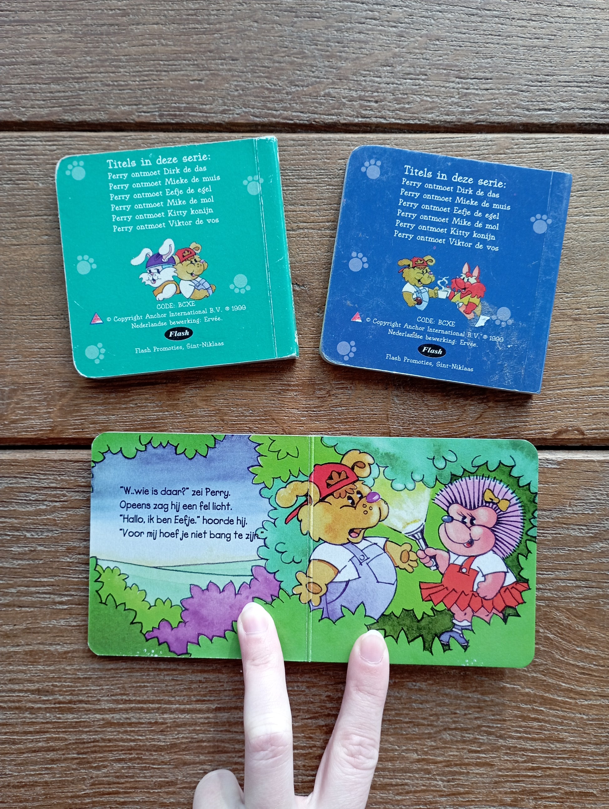 Setje mini kartonboekjes Flash
