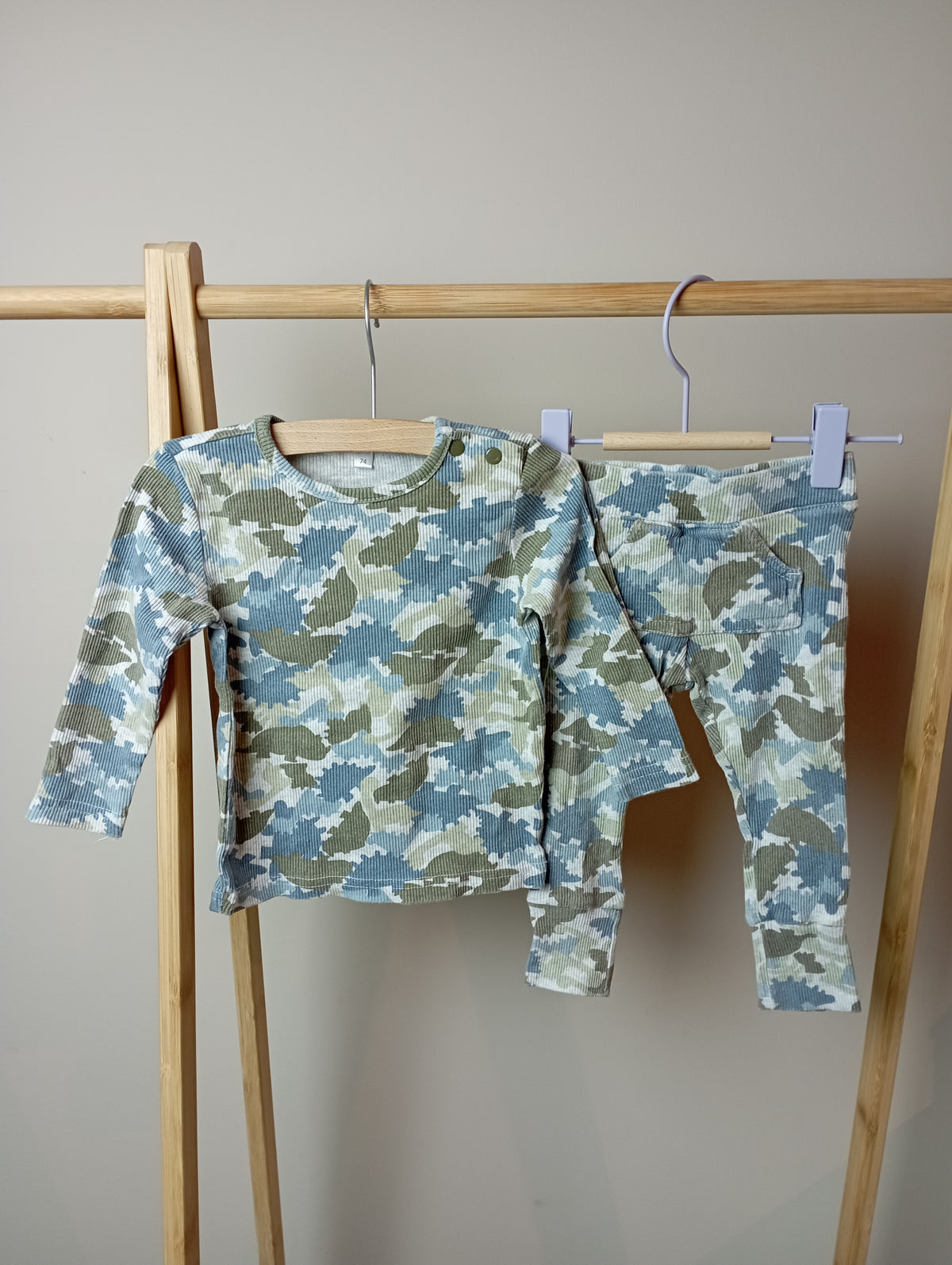 Setje met dino's 74 Zeeman